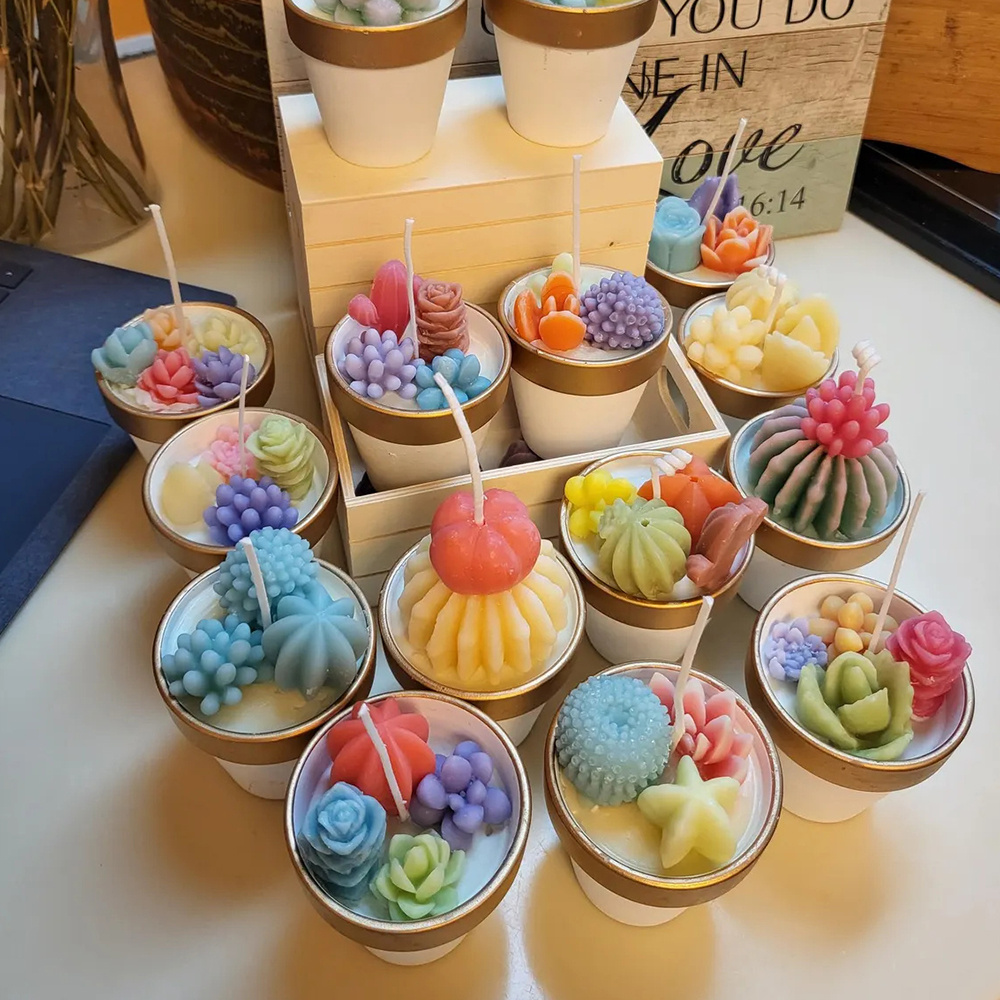 6pcs 다육 실리콘 양초 금형 양초 비누 만들기, 왁 - Candle Making Ingredients 리뷰 및 가격